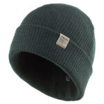 کلاه اسکی و شهری ودزی فیشرمن - دکتلون Wedze Adult Ski Cap - Fisherman