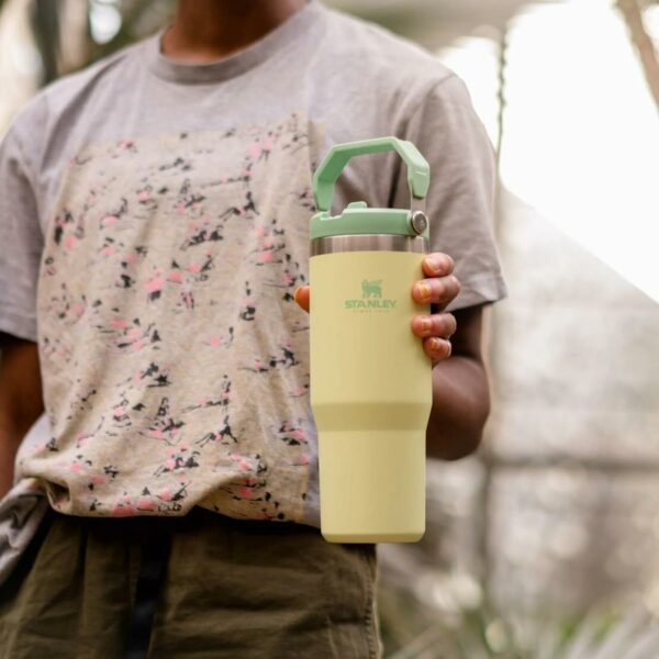 ماگ استنلی - قمقمه آب 0.89 لیتر فلیپ استرو (اورجینال) Stanley IceFlow™ Flip Straw Tumbler | 0.89L - تصویر 14