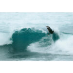 مایو موج سواری دکتلون Decathlon Male Long 19" Sea Shorts/ Boardshort - Black - 900 ITZBLACK - تصویر 10