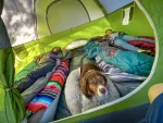 چادر کمپینگ کلمن - ساندوم ۶ نفره Coleman Sundome® 6-Person Camping Tent - تصویر 11