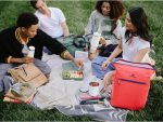 فلاسک غذا استنلی ادونچر - ظرفیت 0.53 لیتر Stanley Adventure To-Go Food Jar | 0.53L - تصویر 3